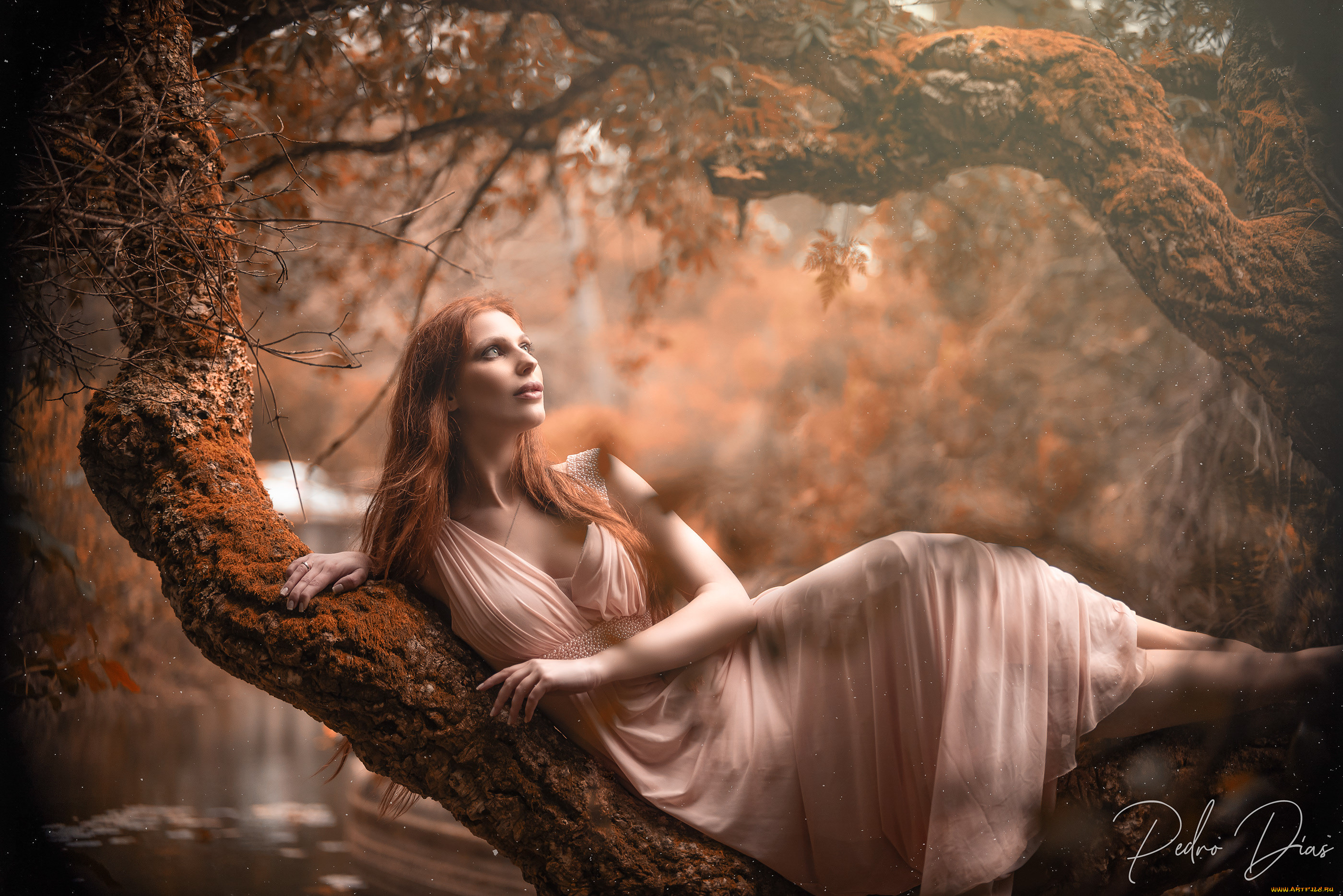 �������� �������, �������, - ����������� � ������������, �������, �������, �����, �������, �����, �����������, ������, ������, ��������, ������, �����, �������, ��������, ������, ������, �����������, �����, �����, ������, ��������, �����, ����������, ������, �, ���������, ���������, ��, ����������